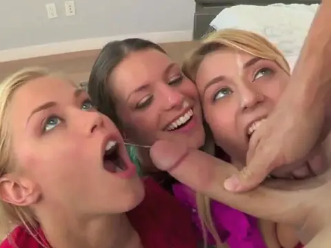 Hot orgy with several bitches and dicks